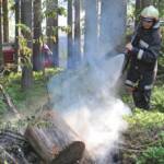 BFVDL: Wieder Brandstiftung in Gressenberg