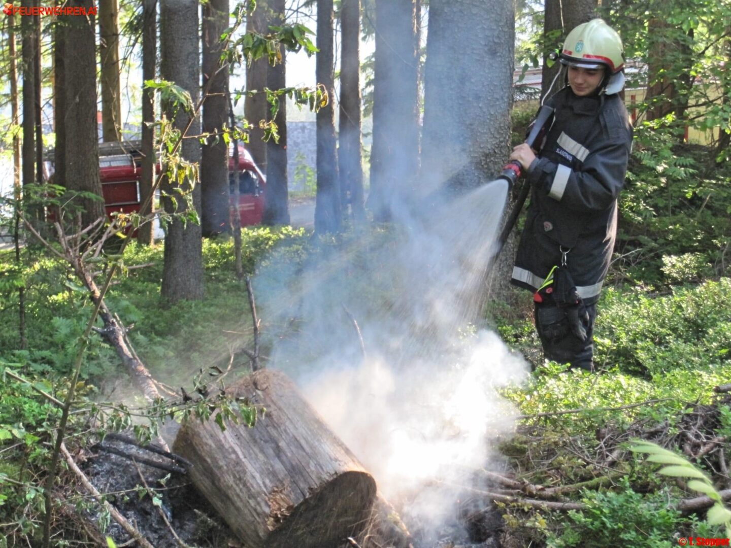 BFVDL: Wieder Brandstiftung in Gressenberg