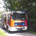 BFV Liezen A06: Türöffnung in Trieben