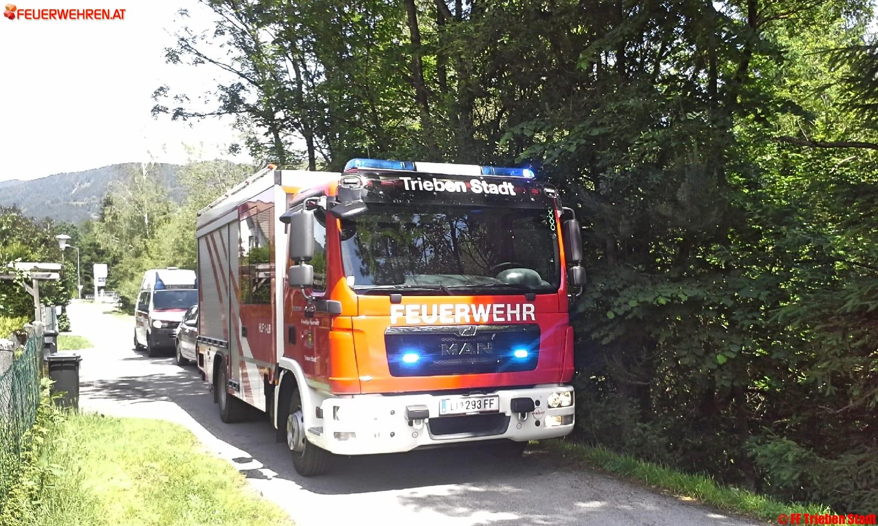 BFV Liezen A06: Türöffnung in Trieben