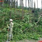 FF Mitterweissenbach