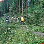 FF Bad Ischl: Sturmschaden in Mitterweissenbach