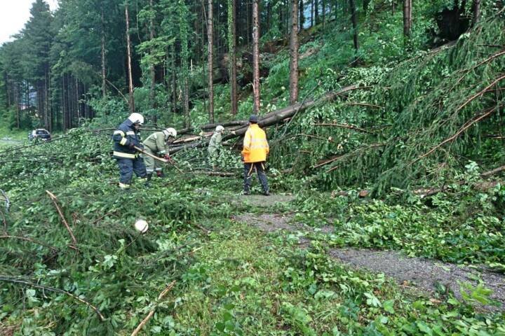 FF Bad Ischl: Sturmschaden in Mitterweissenbach