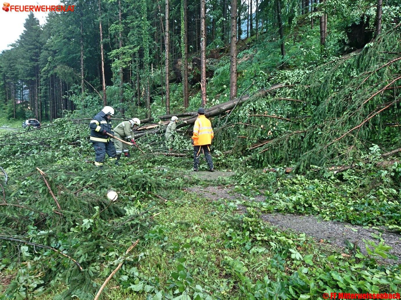 FF Bad Ischl: Sturmschaden in Mitterweissenbach