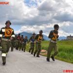 BFV Liezen / Hollinger