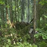 BFV Liezen / Schlüßlmayr