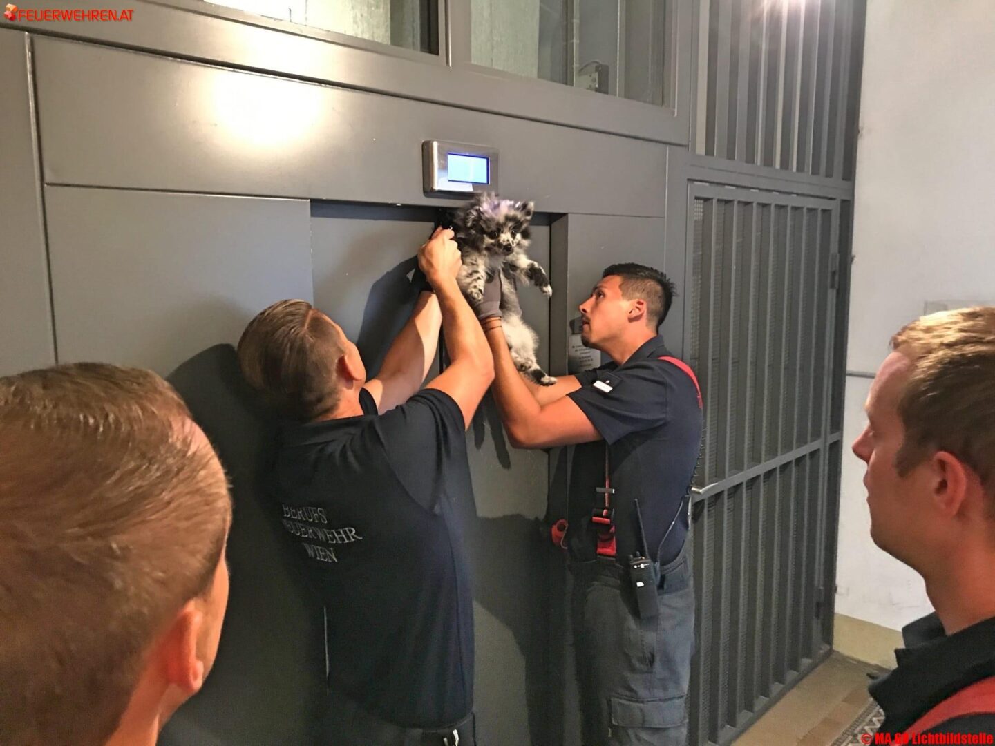 BF Wien: Happy End für Hund und Frauchen