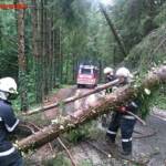 FF Stiwoll: Einsatz nach orkanartigem Sturm