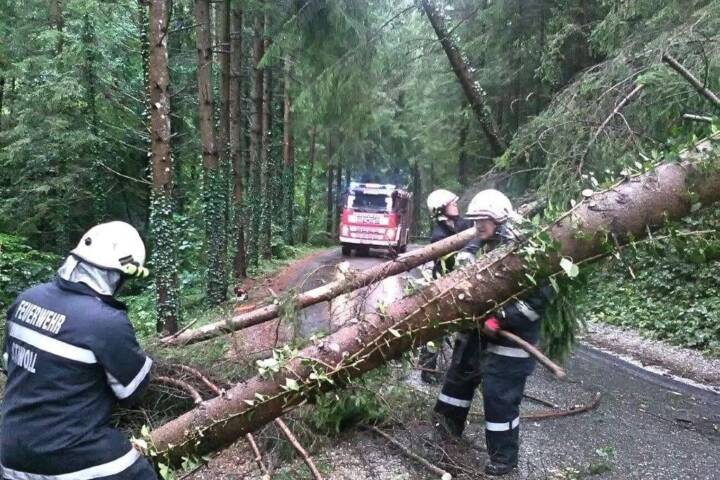 FF Stiwoll: Einsatz nach orkanartigem Sturm