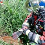 FF Ternitz-Pottschach