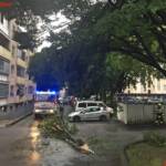 HFW Villach: Sturm fordert 30 Feuerwehreinsätze im Stadtgebiet