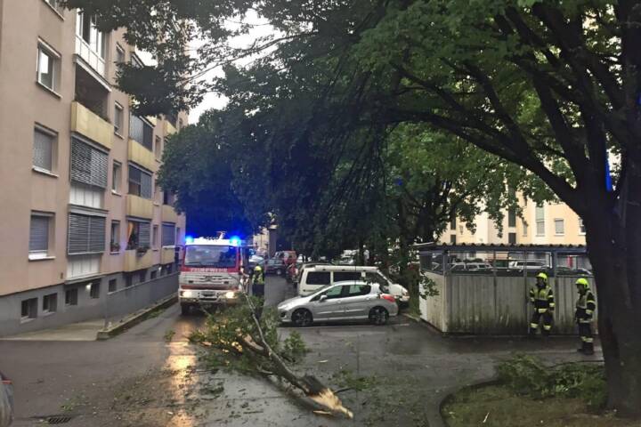 HFW Villach: Sturm fordert 30 Feuerwehreinsätze im Stadtgebiet