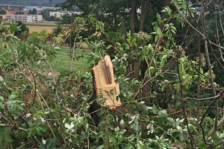 Feuerwehr Pottschach nach Unwetter im Einsatz
