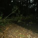 Sturmschaden in Winteraigen 1