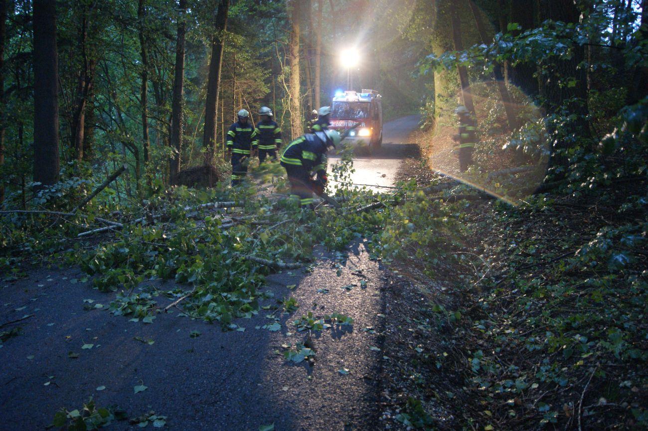 Sturmschaden in Winteraigen