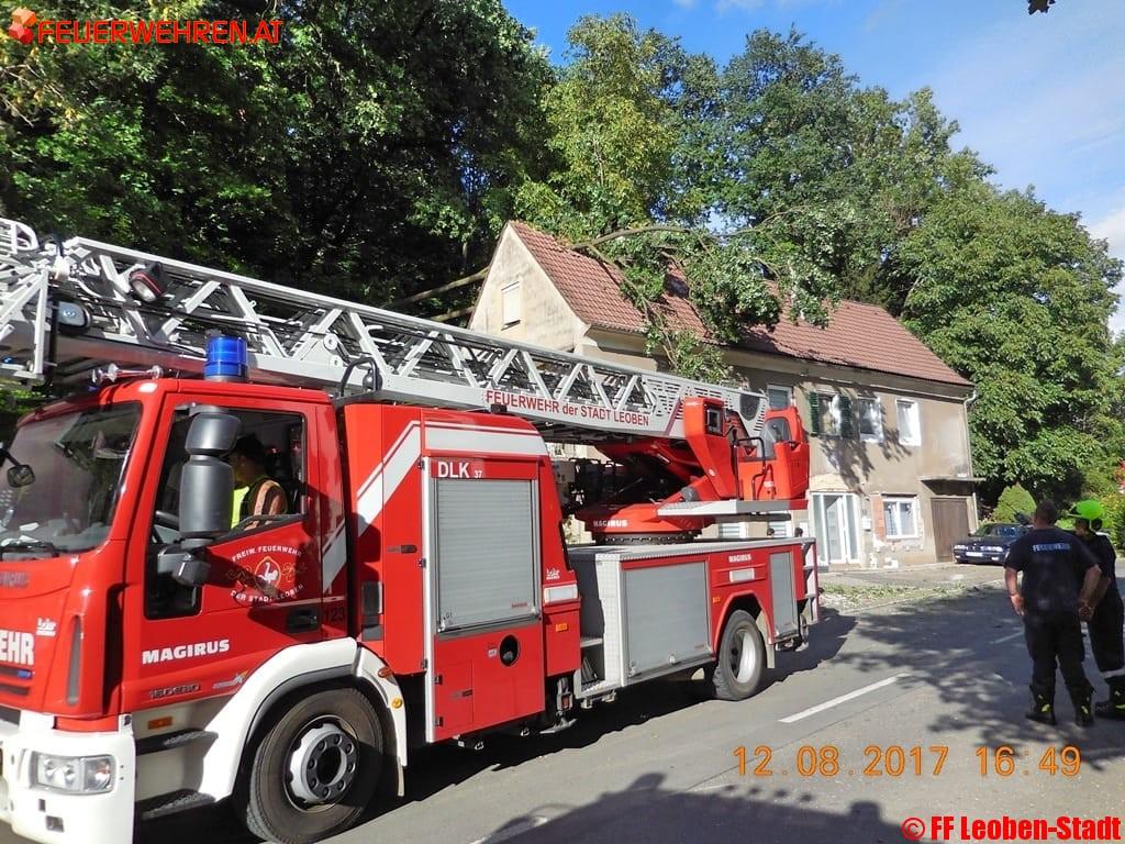 FF Leoben-Stadt: Baum auf Wohnhaus in der Proleberstraße
