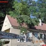 FF Leoben-Stadt