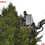 FF Kremsmünster: Kakadu Maxi von Baum gerettet