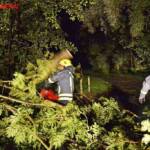 FF Andorf: Zahlreiche Einsätze nach Sturmfront