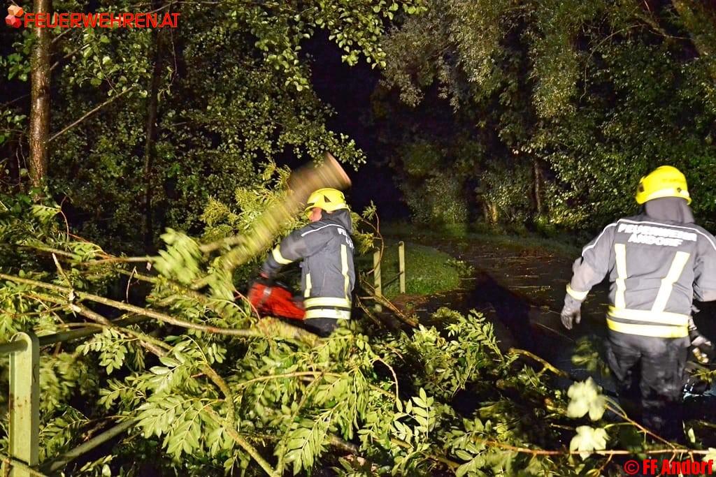 FF Andorf: Zahlreiche Einsätze nach Sturmfront