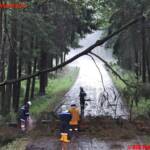 BFKDO Gmünd: Unwetter fegt über das obere Waldviertel