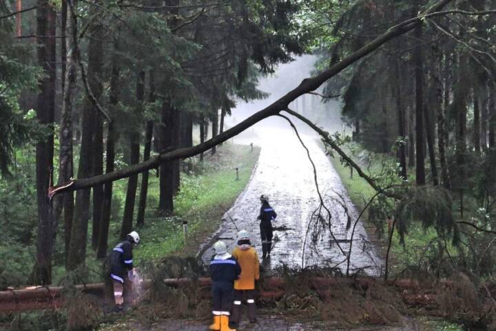 BFKDO Gmünd: Unwetter fegt über das obere Waldviertel