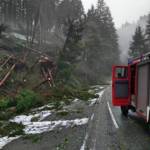 FF Wildbach