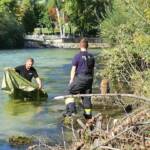 FF Bad Ischl: Eule Hermann von FW Perneck gerettet