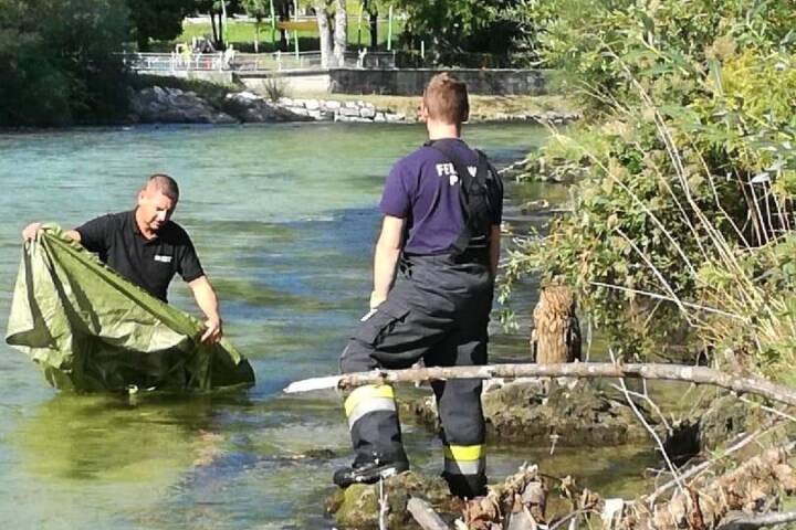 FF Bad Ischl: Eule Hermann von FW Perneck gerettet
