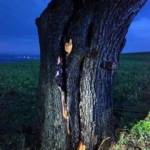 FF Biberbach: Blitzeinschlag löste Feuerwehreinsatz aus 3