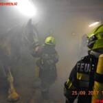 FF Leoben-Stadt: Tierrettungsübung im Groß-Gößgraben