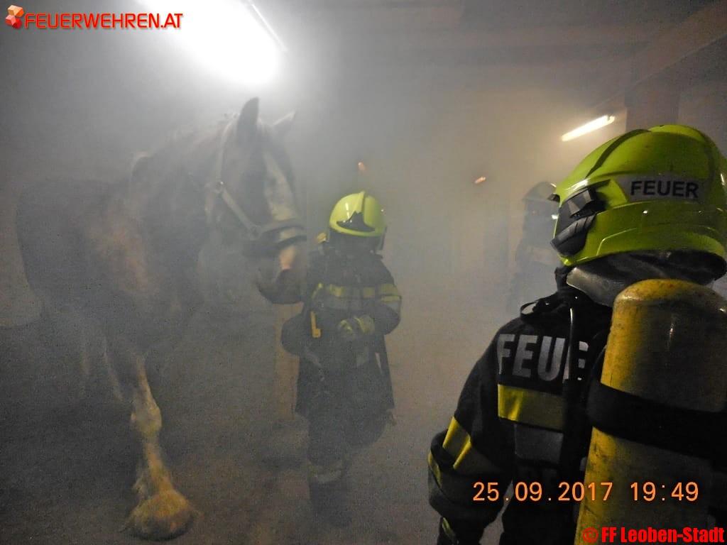 FF Leoben-Stadt: Tierrettungsübung im Groß-Gößgraben