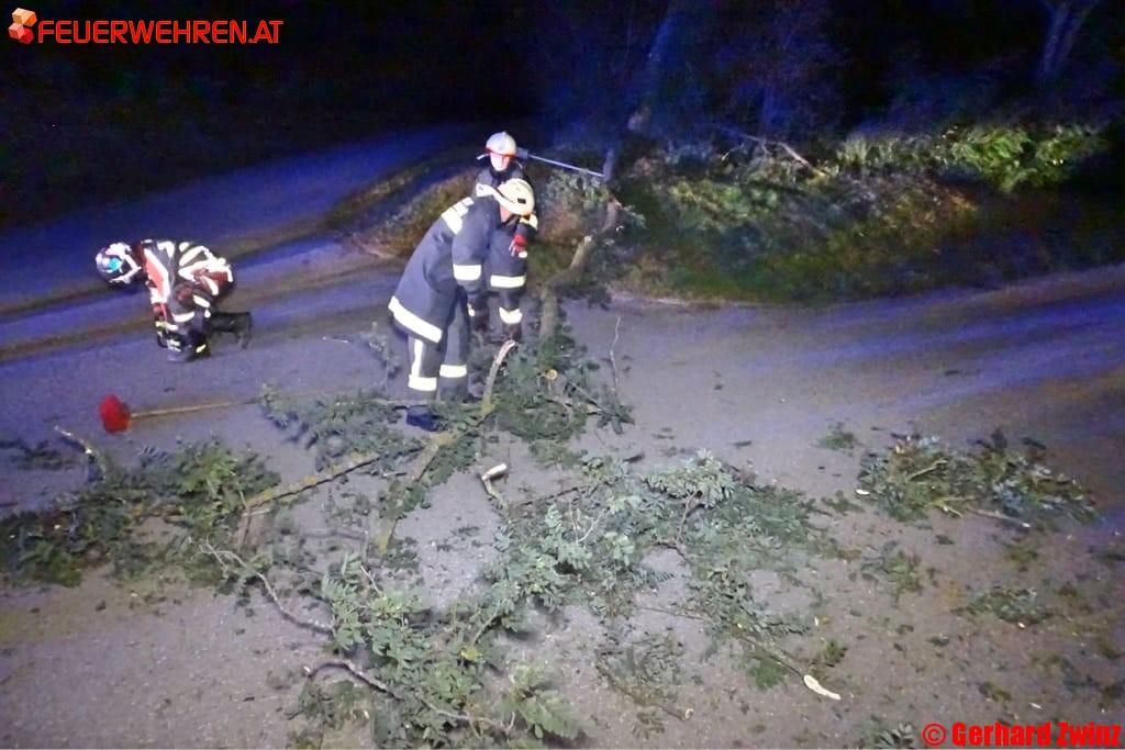 Sturmschaden in Pottschach