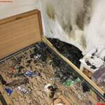 HFW Villach: Zimmerbrand in Villach