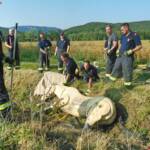 FF Dörfles-Willendorf: Übung zur Großtierrettung