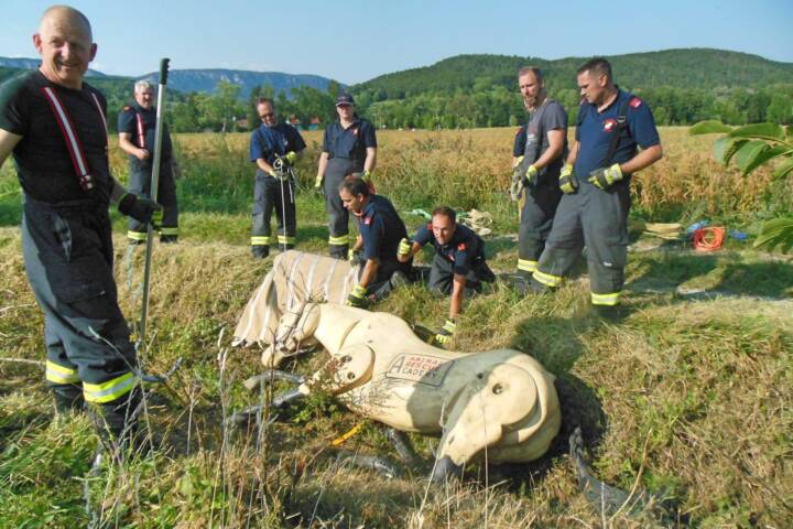 FF Dörfles-Willendorf: Übung zur Großtierrettung