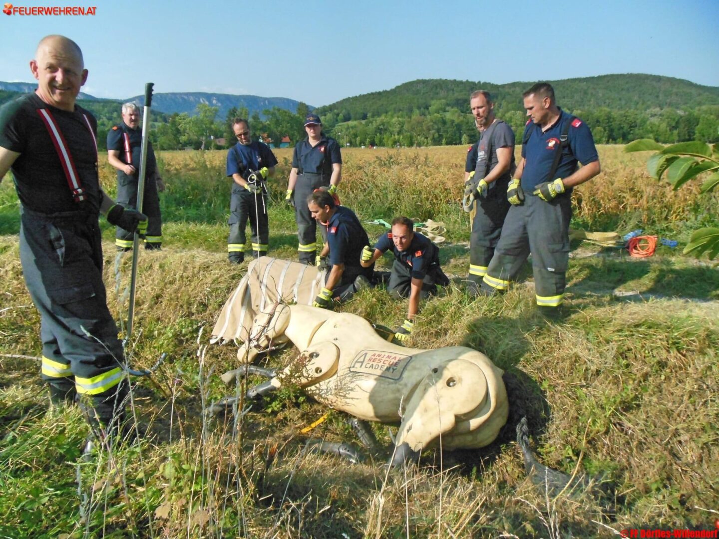 FF Dörfles-Willendorf: Übung zur Großtierrettung