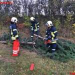 Baum drohte auf Straße zu stürzen