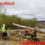 Freiwillige Feuerwehr Krems