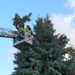 Freiwillige Feuerwehr Krems