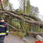 Freiwillige Feuerwehr Krems