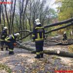 FF Klosterneuburg: Sturmeinsätze in Klosterneuburg