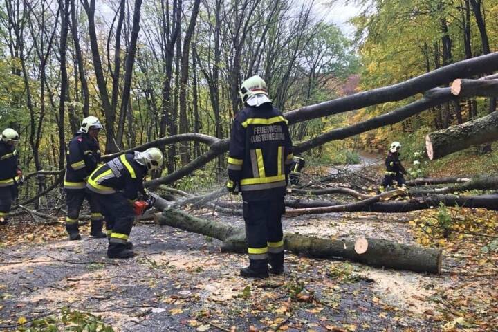 FF Klosterneuburg: Sturmeinsätze in Klosterneuburg