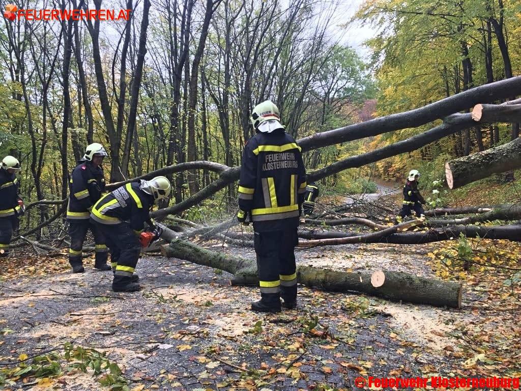 FF Klosterneuburg: Sturmeinsätze in Klosterneuburg