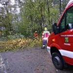 FF Pasching: Orkantief Grischa über Pasching