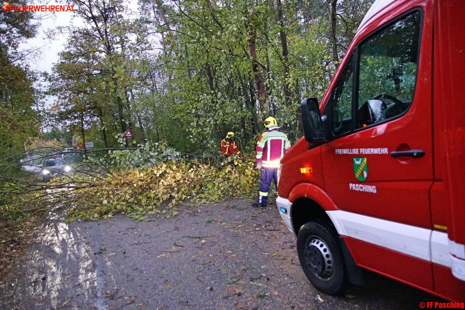 FF Pasching: Orkantief Grischa über Pasching