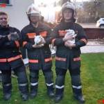 MA 68 Lichtbildstelle