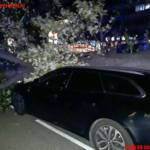 MA 68 Lichtbildstelle