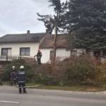 FF Pettendorf: Baum droht auf Wohnhaus zu stürzen 9