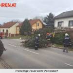 FF Pettendorf: Baum droht auf Wohnhaus zu stürzen 6
